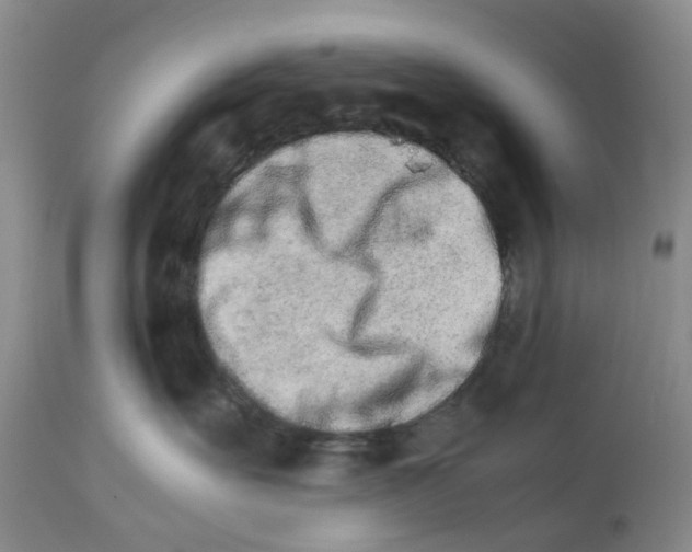 X0000111680527200908281139