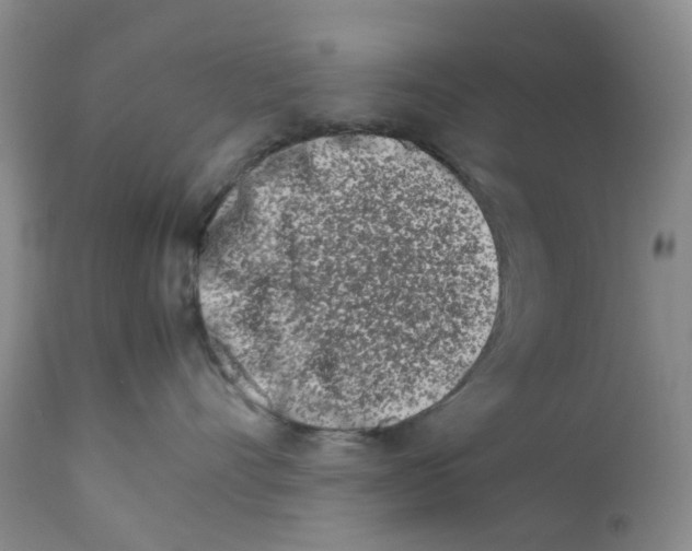 X0000111680528200908281139