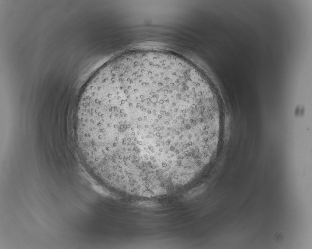 X0000111680529200908281138