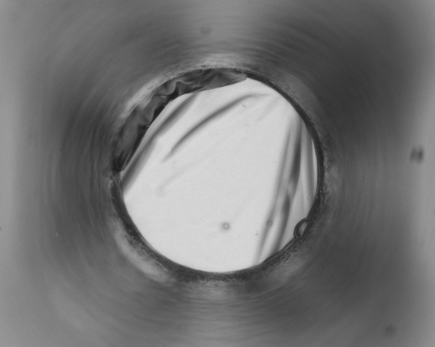 X0000111680530200908281138