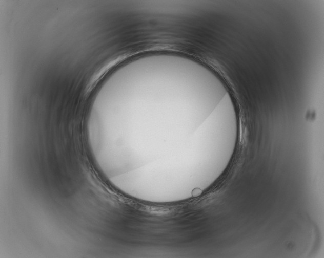 X0000111680531200908281138