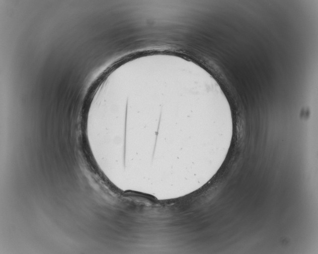 X0000111680532200908281138