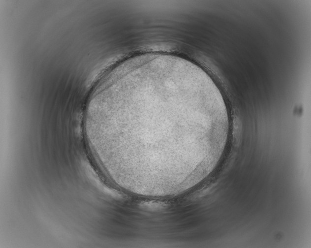 X0000111680537200908281138