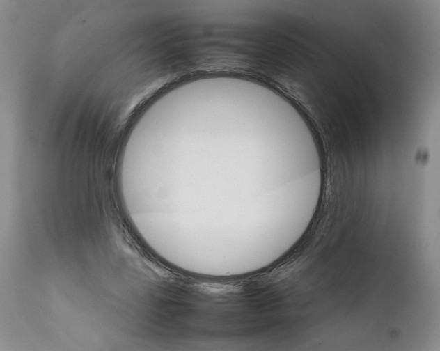 X0000111680539200908281138