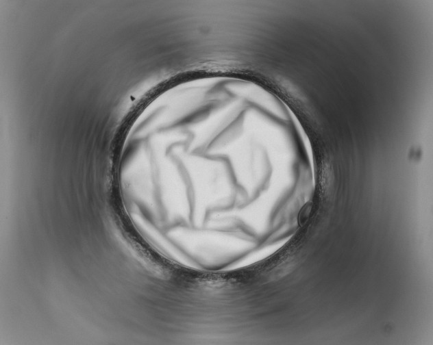 X0000111680540200908281138