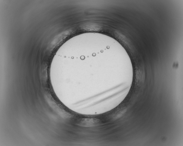 X0000111680541200908281138