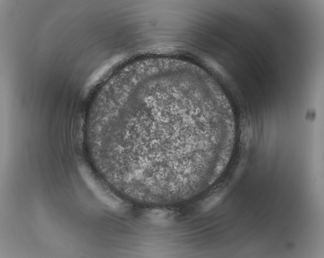 X0000111680542200908281138