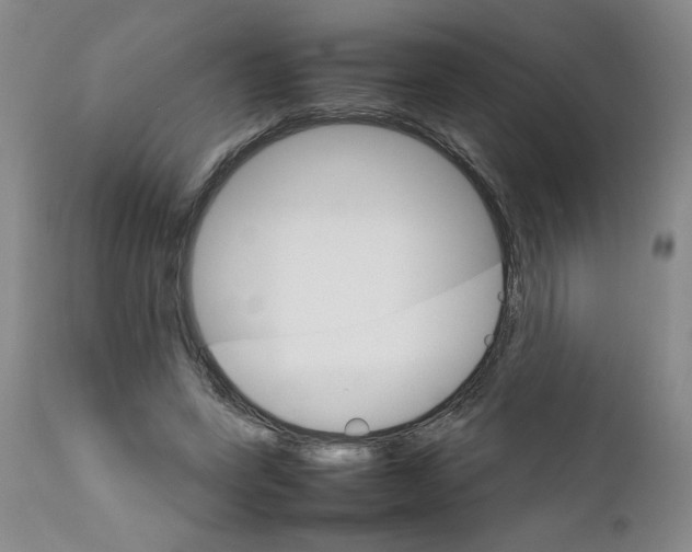 X0000111680543200908281138