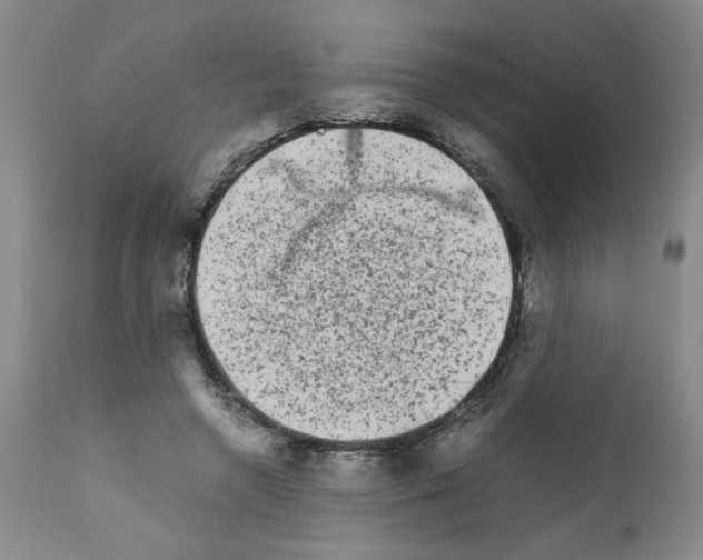 X0000111680546200908281138