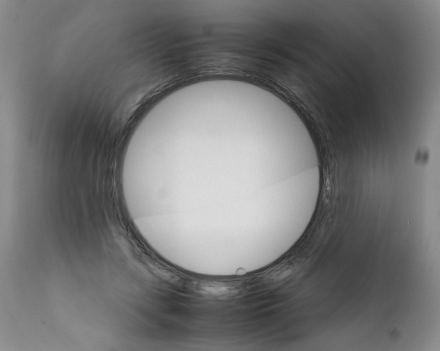 X0000111680547200908281138