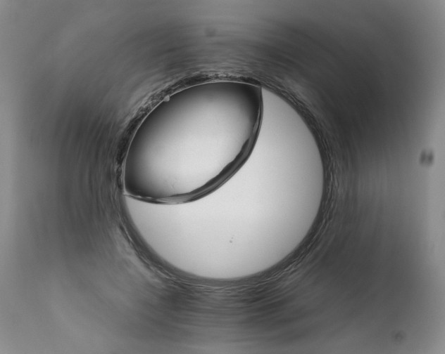 X0000111680548200908281138