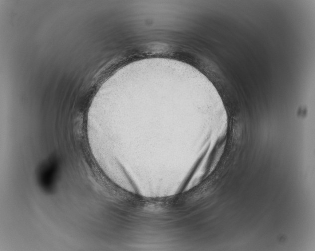 X0000111680550200908281138