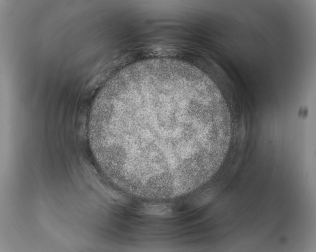 X0000111680553200908281138