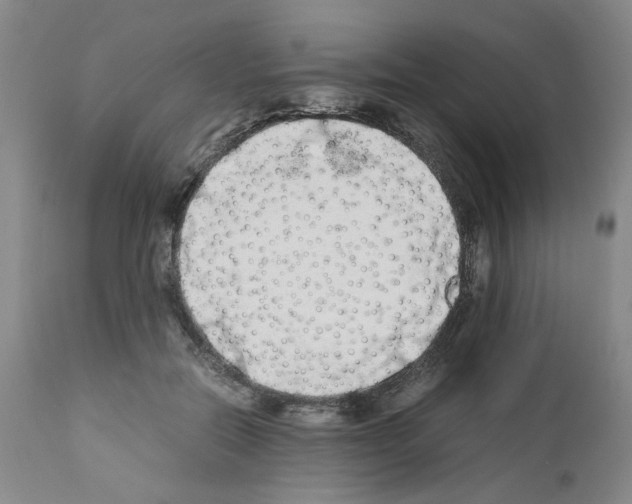 X0000111680554200908281138