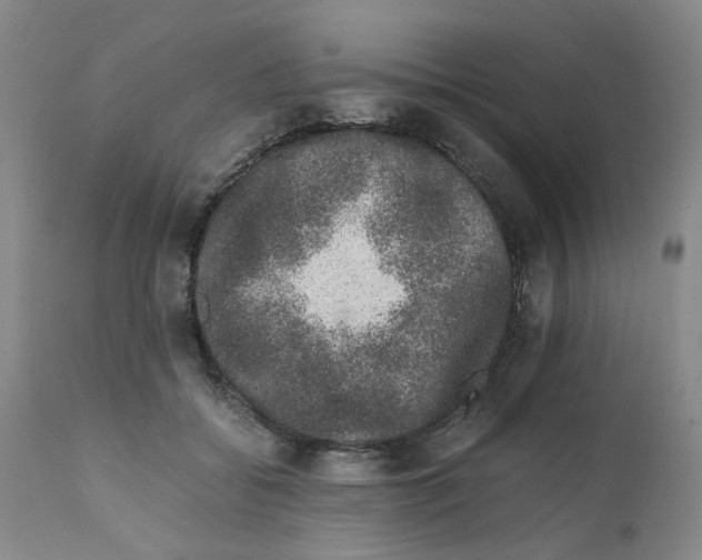 X0000111680556200908281138