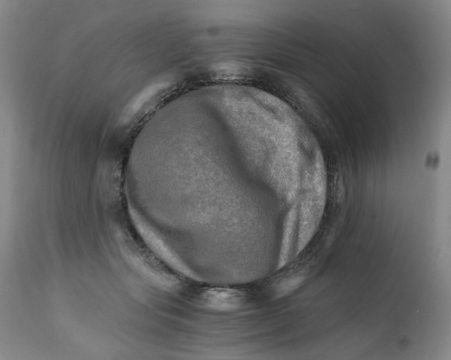 X0000111680557200908281138