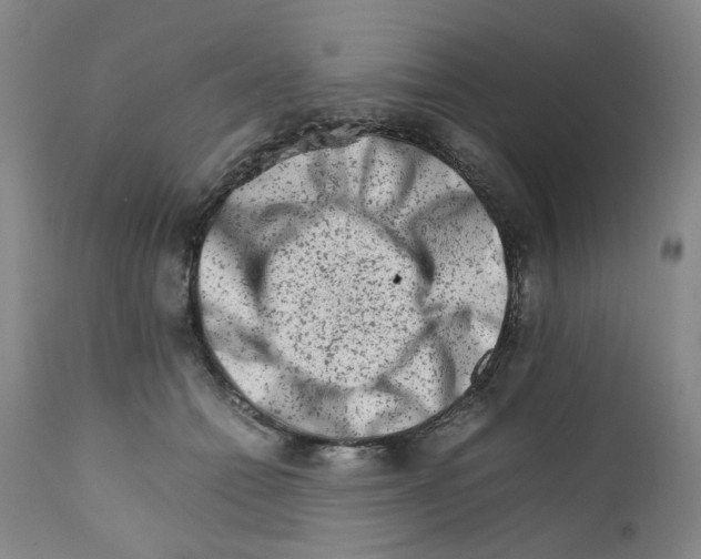 X0000111680558200908281138