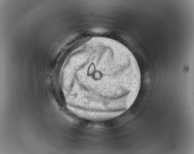 X0000111680559200908281138