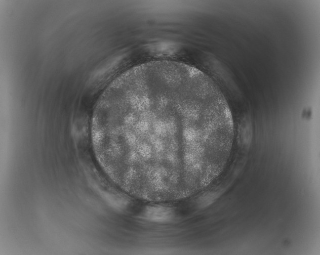 X0000111680561200908281138