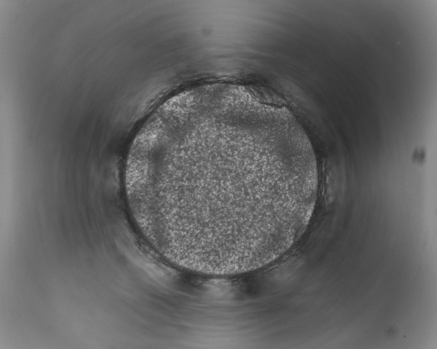 X0000111680562200908281138