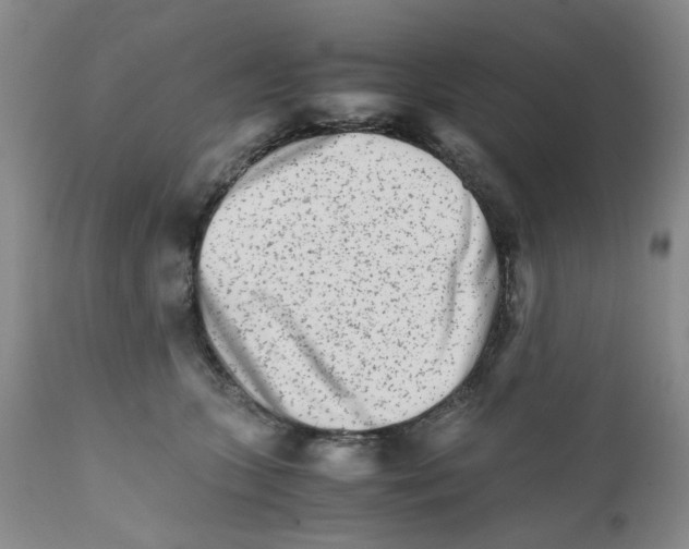 X0000111680563200908281138