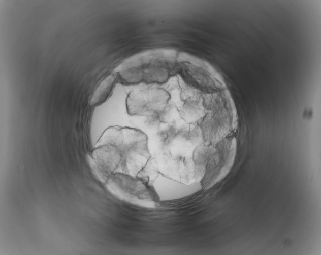 X0000111680565200908281139