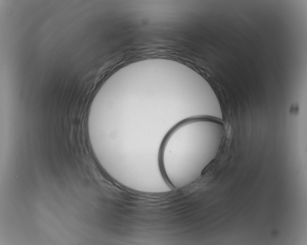 X0000111680570200908281139