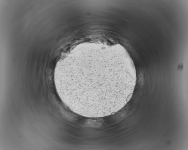 X0000111680571200908281139