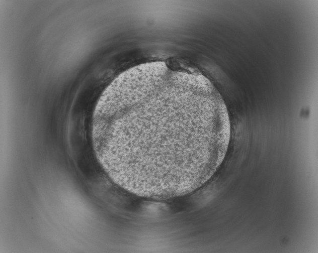 X0000111680572200908281139