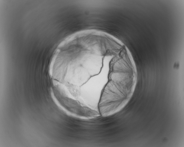 X0000111680573200908281139