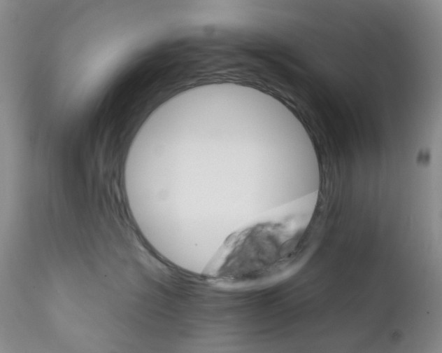 X0000111680574200908281139