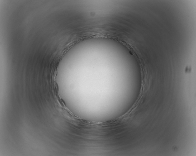 X0000111680576200908281139