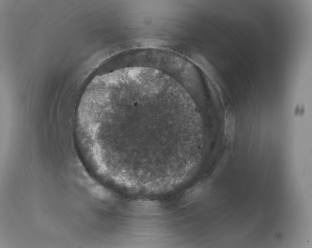 X0000111680577200908281138