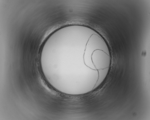 X0000111680578200908281138