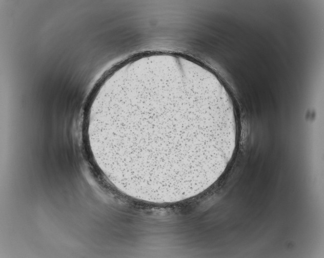 X0000111680580200908281138