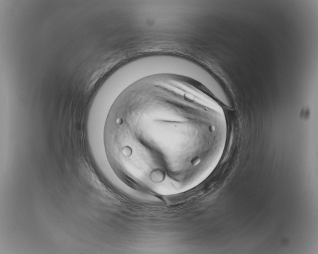 X0000111680585200908281138