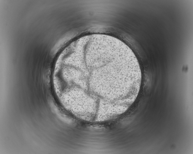 X0000111680586200908281138