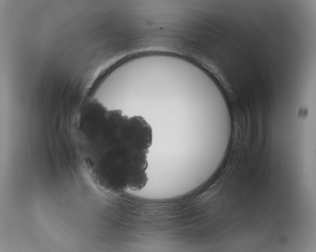 X0000111680588200908281138