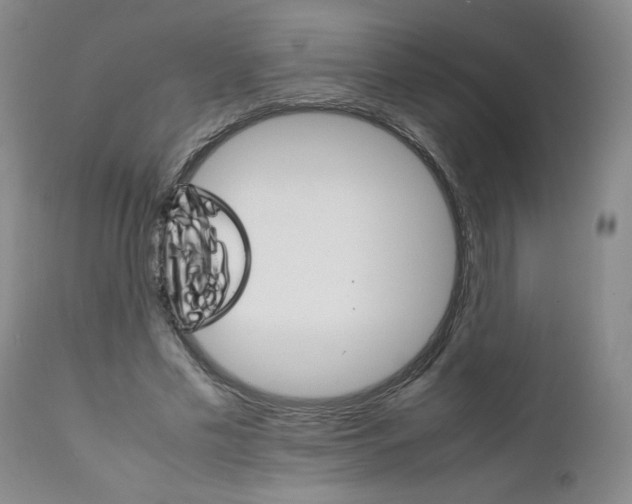 X0000111680589200908281138