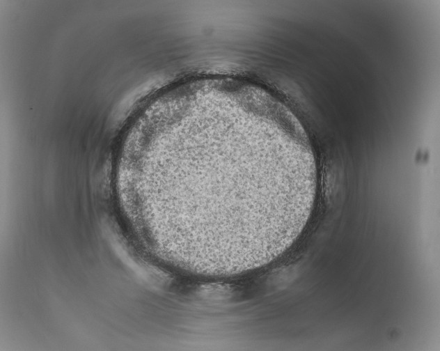 X0000111680591200908281138