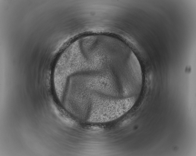 X0000111680592200908281138