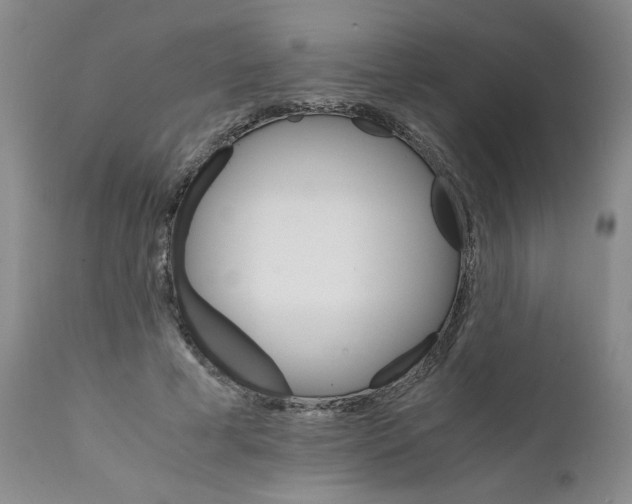 X0000111680593200908281138