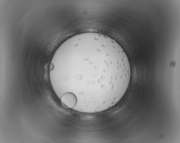 X0000111680594200908281138