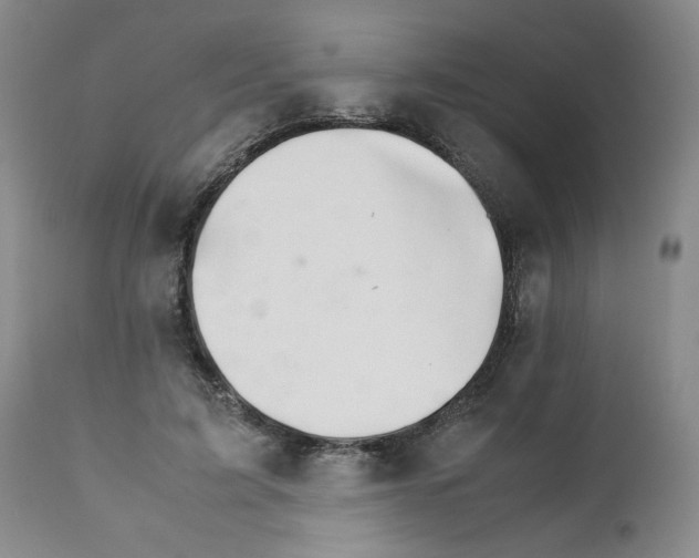 X0000111680595200908281138