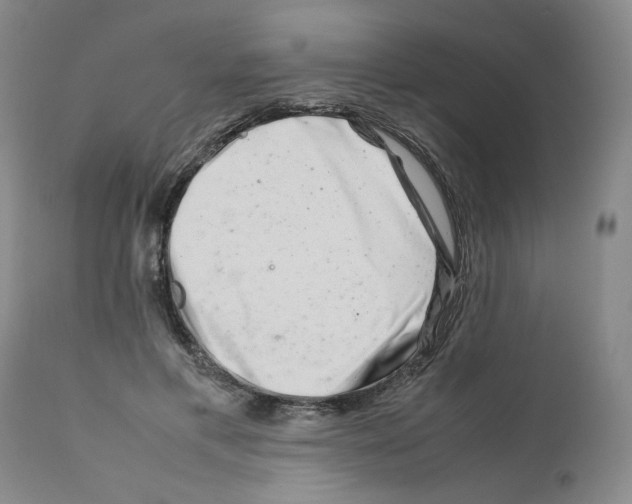 X0000111680597200908281138