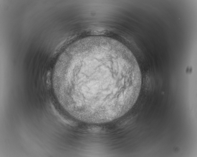 X0000111680598200908281138