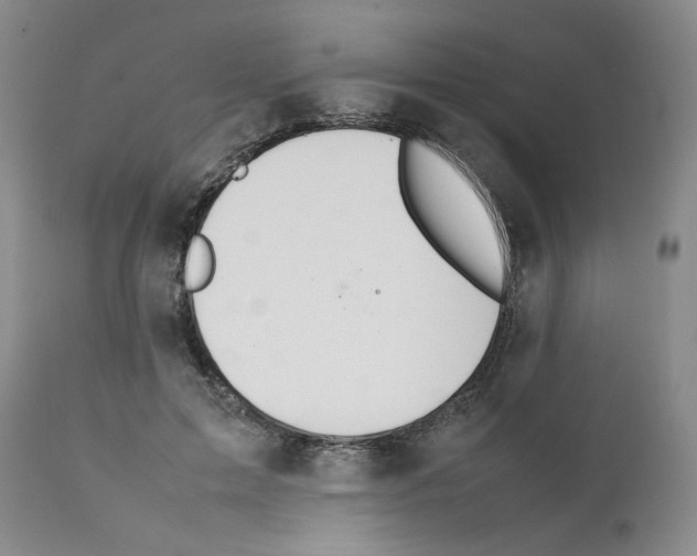 X0000111680599200908281138