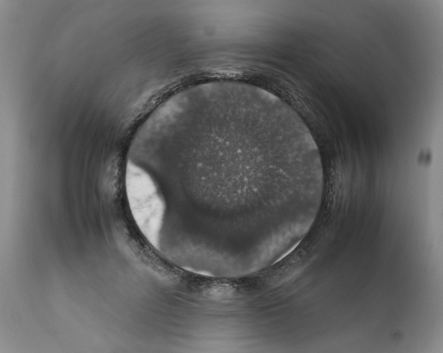 X0000111680600200908281138