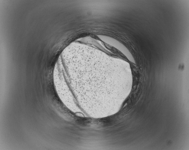 X0000111680601200908281137