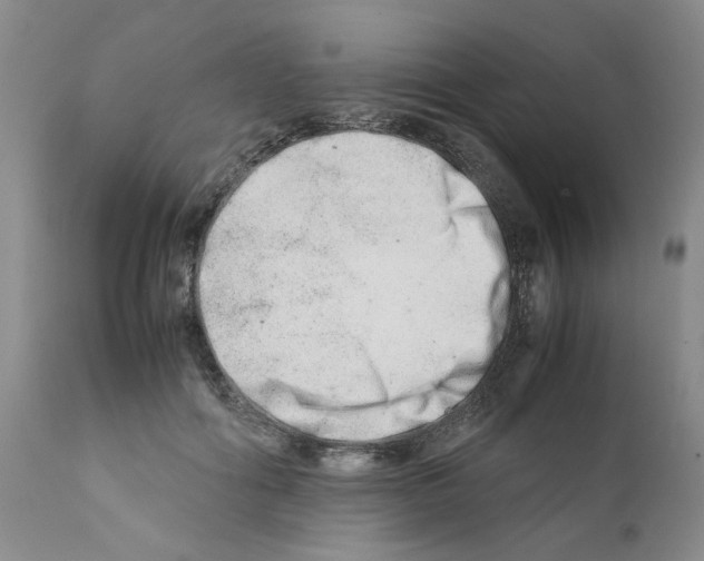 X0000111680602200908281137